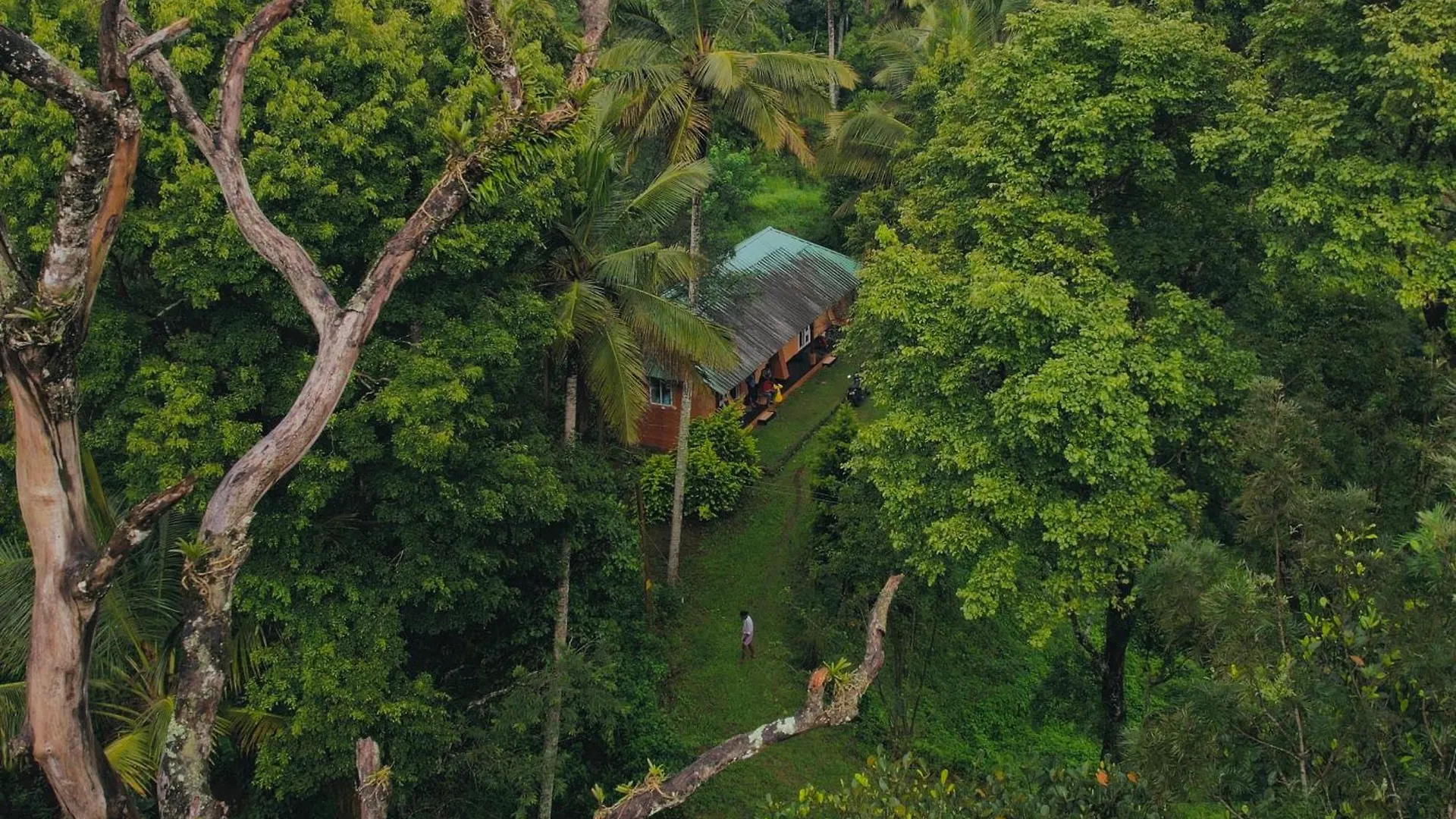 Punarjani Ayurvedic Resorts Ramakkalmedu